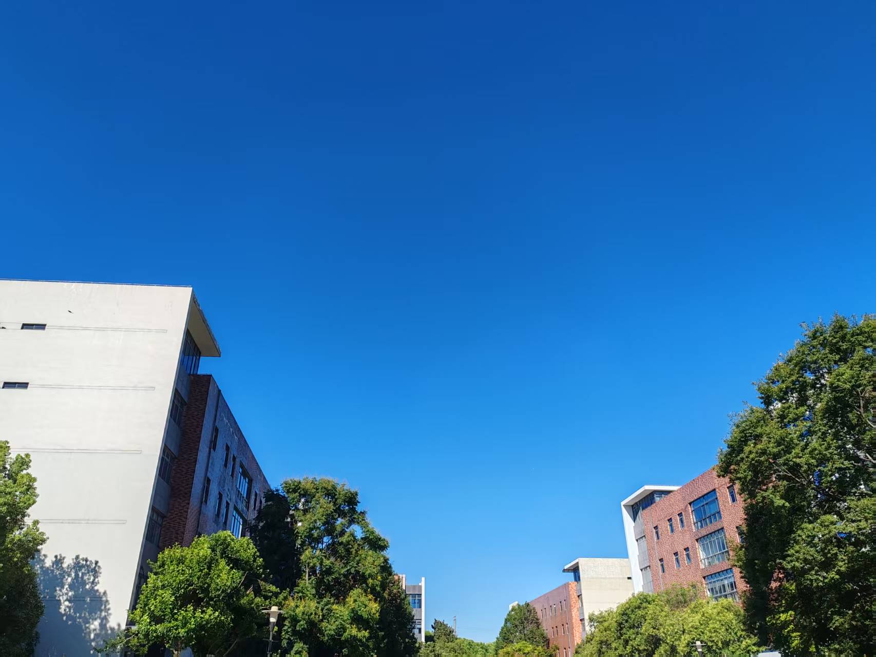都市办公楼