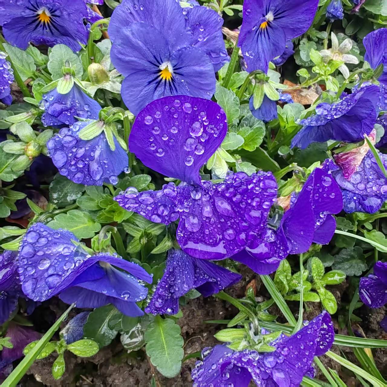 支持流程